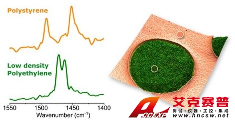 PS-LDPE聚合物混合物上的共振增強(qiáng)AFM-IR光譜